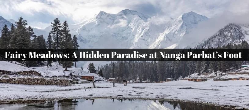 Fairy Meadows: A hidden paradise at the foot of Nanga Parbat 