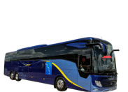 VIP Bus (2023)